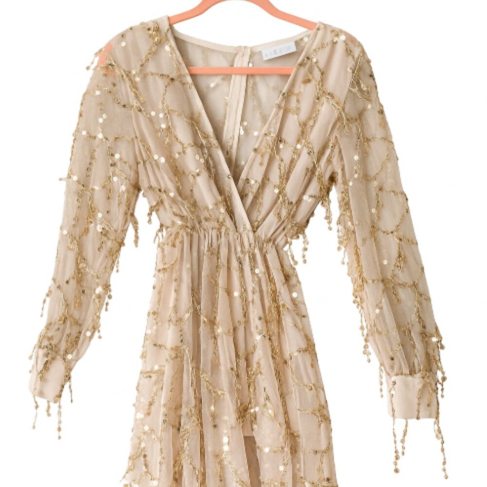 Elegant Long Holiday Gown- Sheer From Mid-Thigh Down